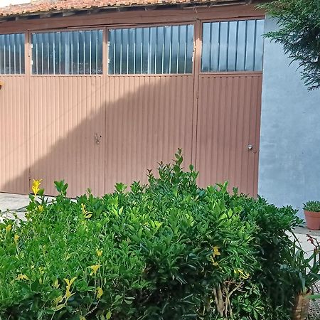 Casa Da Vovo Ceu - Casa De Campo Gandaresa - Country House, Entre Coimbra E Aveiro, A 15 Minutos Carro Praia Mira - Quintal Com Piscina Insuflavel Cantanhede Ngoại thất bức ảnh