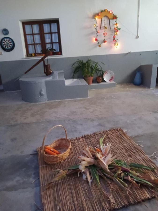 Casa Da Vovo Ceu - Casa De Campo Gandaresa - Country House, Entre Coimbra E Aveiro, A 15 Minutos Carro Praia Mira - Quintal Com Piscina Insuflavel Cantanhede Ngoại thất bức ảnh