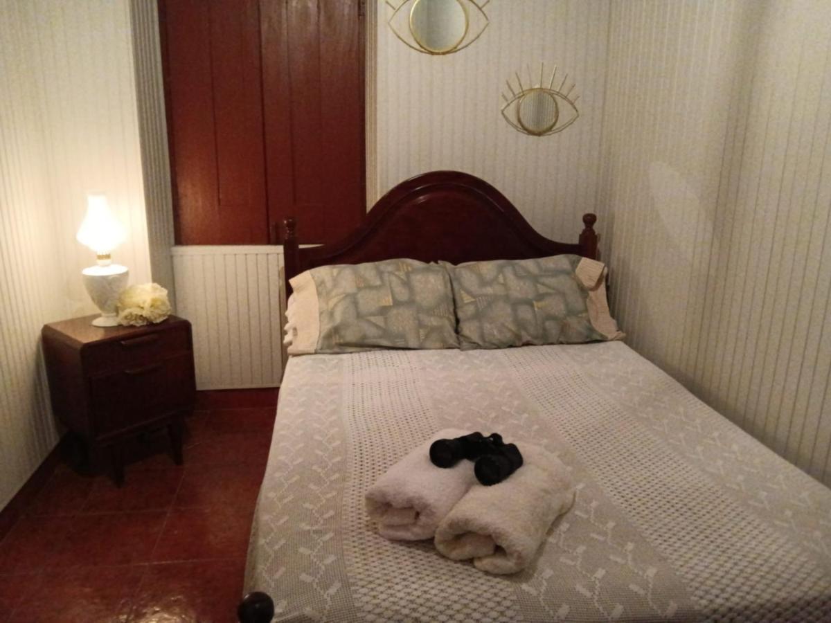 Casa Da Vovo Ceu - Casa De Campo Gandaresa - Country House, Entre Coimbra E Aveiro, A 15 Minutos Carro Praia Mira - Quintal Com Piscina Insuflavel Cantanhede Ngoại thất bức ảnh